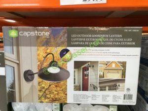 Costco-1099195-Capstone-LED-Outdoor-Gooseneck-Lantern-box