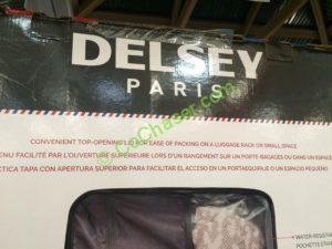 Costco-1132589-Delsey-2PC-Hardside-Spinne-name