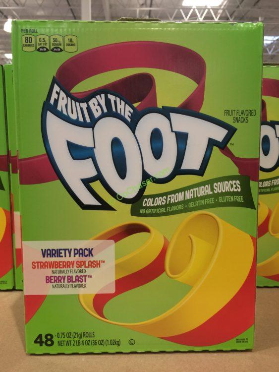 General Mills Fruit by the Foot 48 Count Box CostcoChaser