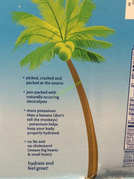 Vita COCONUT Water 12/11.2 Ounce Boxes CostcoChaser