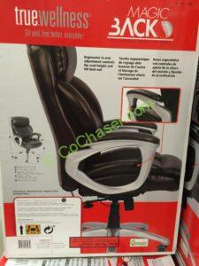 Costco-1135060-True-Innovations-Magic-Back-Manger-Chair-back