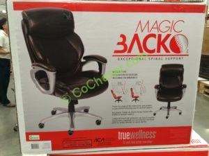 Costco-1135060-True-Innovations-Magic-Back-Manger-Chair-name