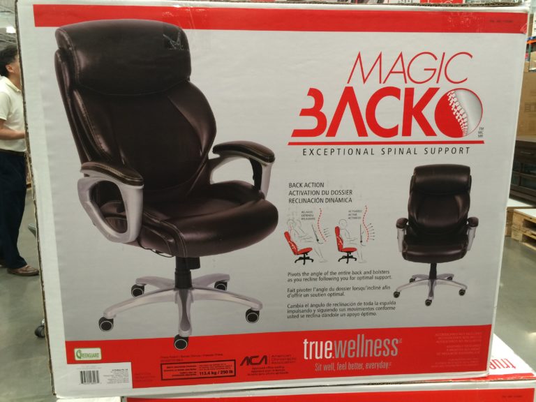 Costco1135060TrueInnovationsMagicBackMangerChairname CostcoChaser