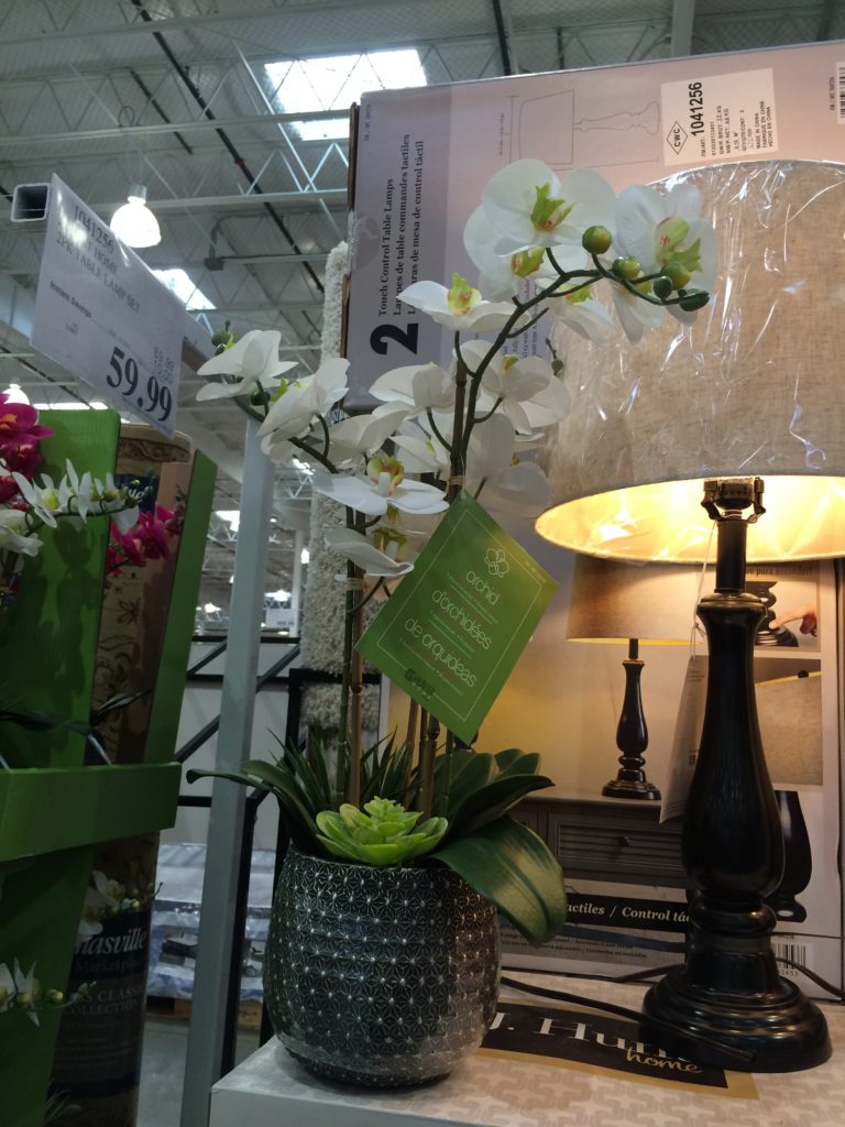 CG Hunter Home Artificial Orchid Assortment CostcoChaser