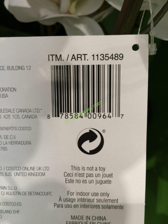 CG Hunter Home Artificial Orchid Assortment CostcoChaser