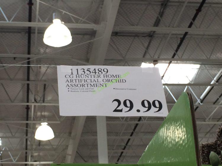 CG Hunter Home Artificial Orchid Assortment CostcoChaser