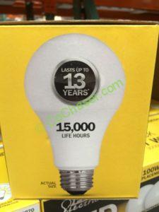 Costco-1090270-Felt-Electric-LED-100W-Replacement-pic