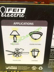 Costco-1090270-Felt-Electric-LED-100W-Replacement-use