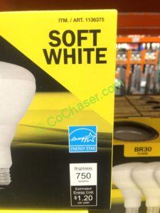 Costco-1136375-Feit-Electric-LED-BR30-Flood-part