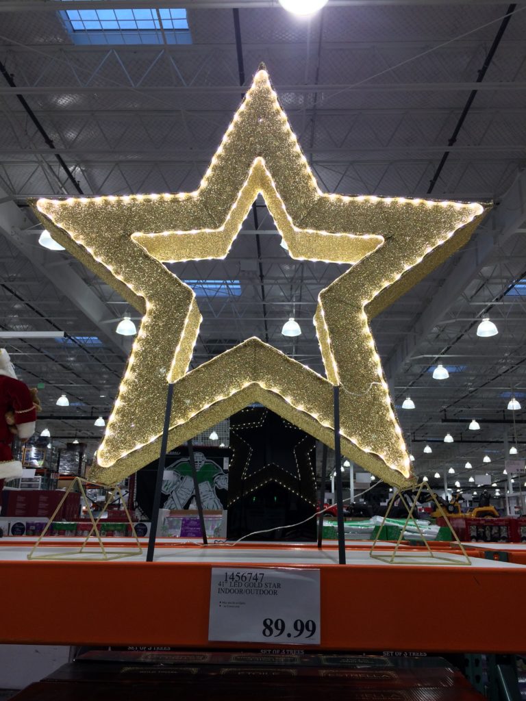41″ LED Gold Star Indoor/Outdoor CostcoChaser