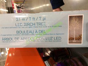 Coost-1456750-7-LED-Twinkling-Birch-Tree-box