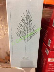 Coost-1456750-7-LED-Twinkling-Birch-Tree-size