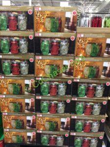 Costco-999573-Holiday-Jars-with-LED-Lights-all