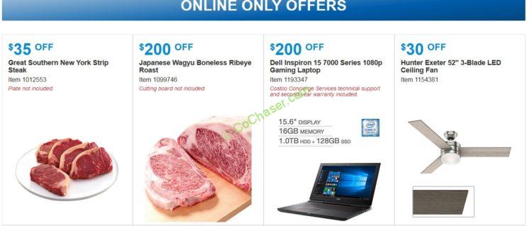 Costco-Coupon-12-2017-29