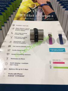 Costco-1110243-Fitbit-Charge2-Activity-Tracker-Bundle