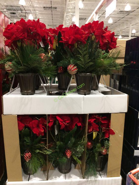 Costco-1456706-Artificial-Potted-Amaryllis-all