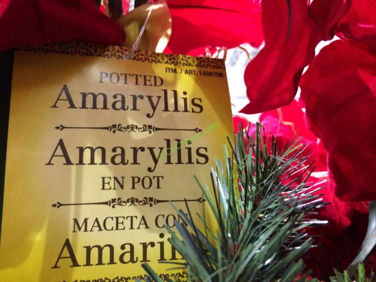 Artificial Potted Amaryllis CostcoChaser