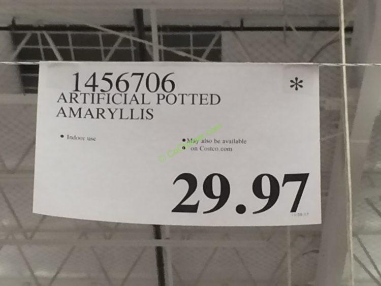 Costco-1456706-Artificial-Potted-Amaryllis-tag