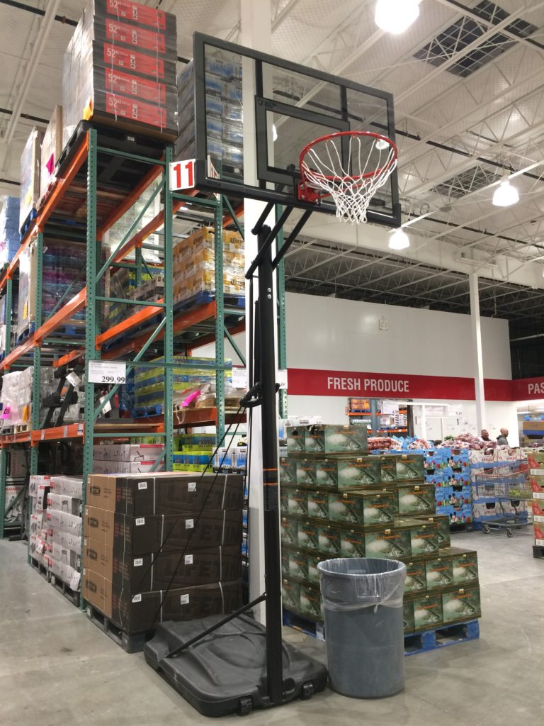 Lifetime 52” Basketball Hoop CostcoChaser