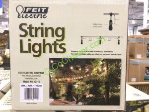 Costco-1179202-Feit-Electric-48Ft-Incandescent-String-Lights-size