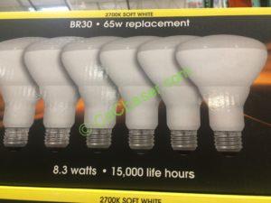 Costco-1200268-Feit-Electric-LED-BR30-Flood-6Pack-Soft-White-face