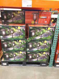 Costco-1600093-Naturally-Solar-Large-Solar-LED-Pathway-Lights-all