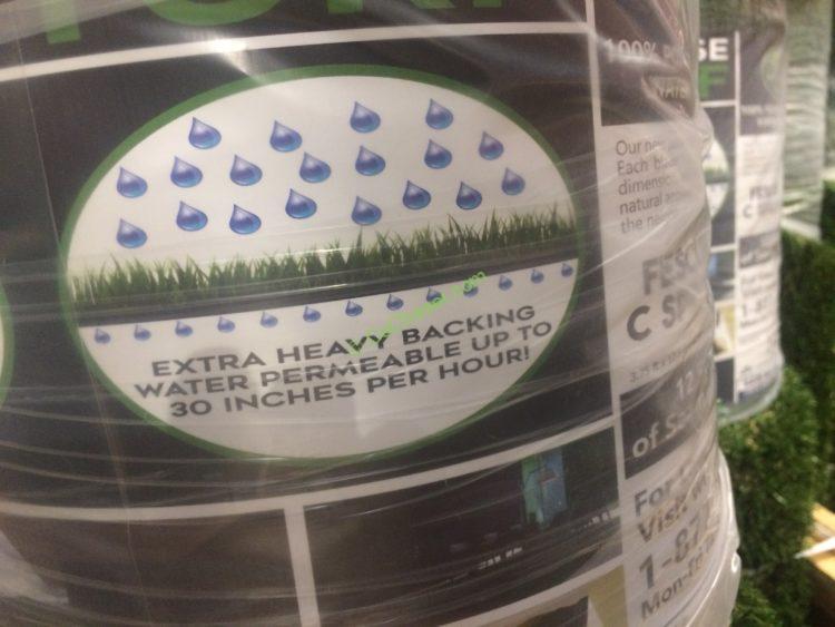 Costco1184859PregraFescueTurfpart4 CostcoChaser