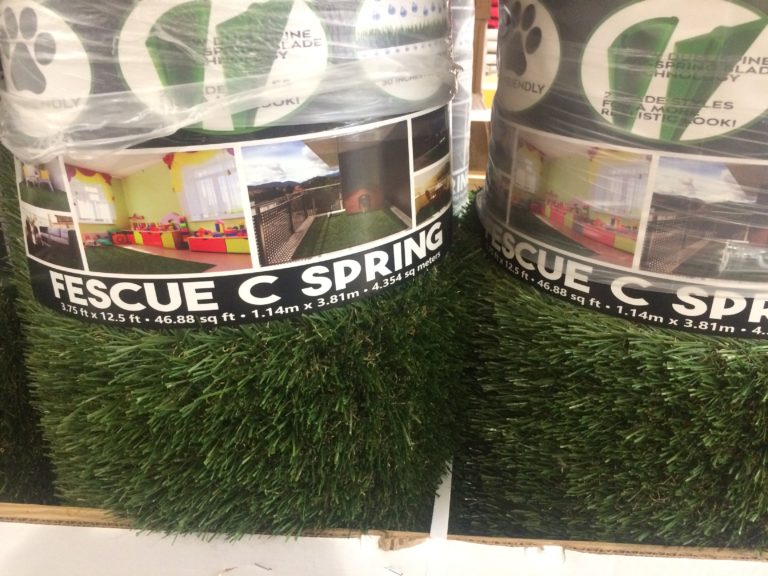 Pregra Fescue Turf 3.75FT x 12.5FT CostcoChaser