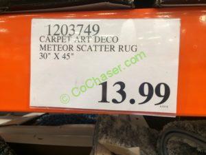 Costco-1203749-Carpet -Art Deco-Meteor-Scatter-Rug-tag