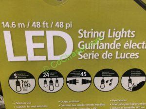 Costco-710090-Feit-Electric-48-LED-Filament-String-Light-code