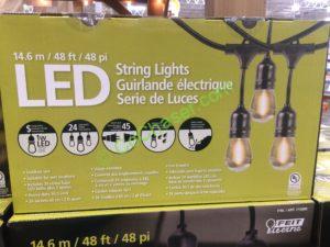 Costco-710090-Feit-Electric-48-LED-Filament-String-Light-inf