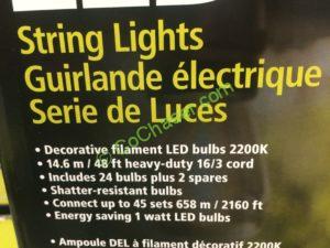 Costco-710090-Feit-Electric-48-LED-Filament-String-Light-spec1