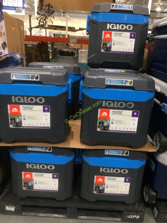 Costco1183295IglooMaxcold62QTWheeledCoolerall CostcoChaser