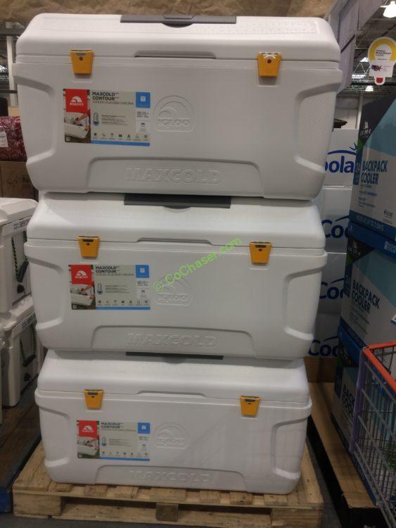 Costco1183297IglooMaxColdCoolerall CostcoChaser