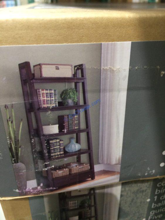 Costco111908072 LadderBookcasepic CostcoChaser