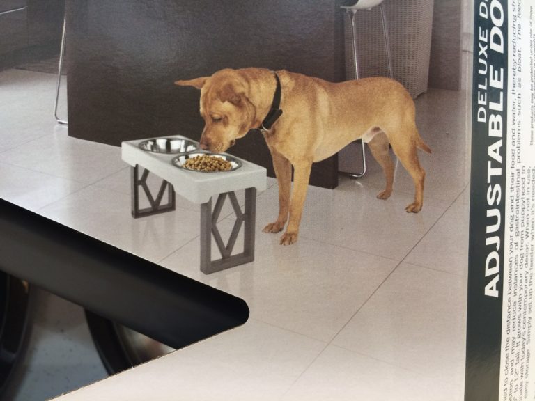 costco-1257912-our-pets-adjustable-feeder-pic-costcochaser
