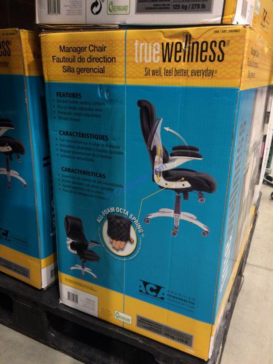 True Wellness Manager Chair CostcoChaser
