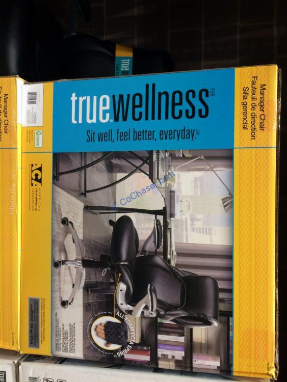 True Wellness Manager Chair – CostcoChaser