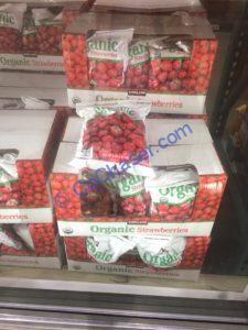 Costco-904984-Kirkland-Signature-Organic-Strawberries-all