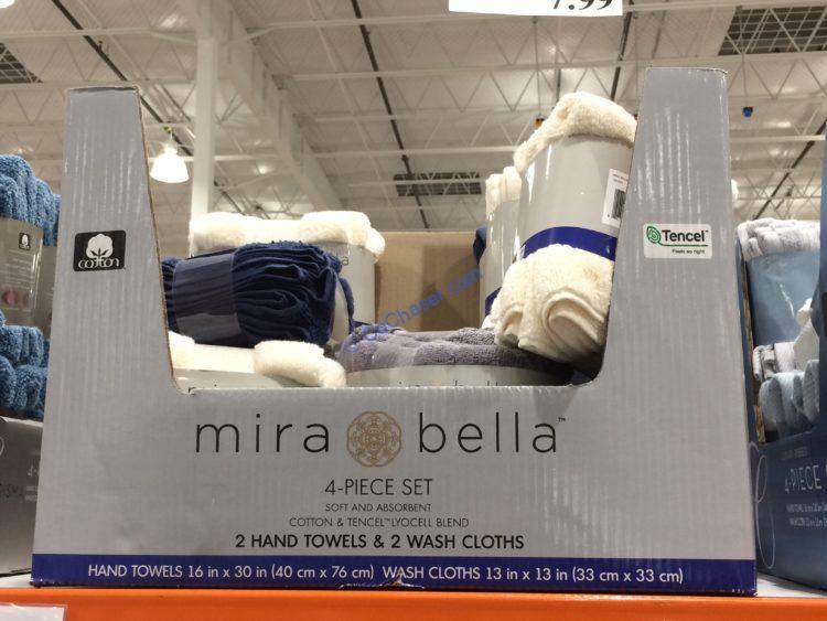 Mira Bella Assorted Colors 4 Pack Hand Wash Set