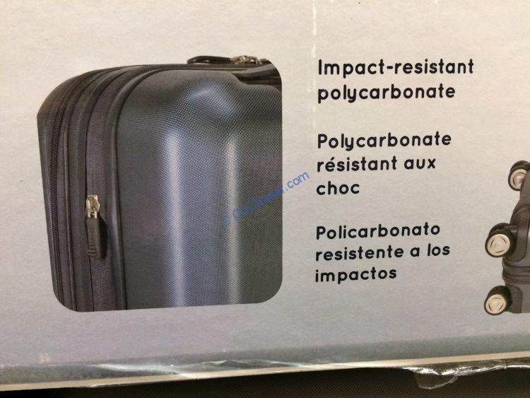 skyway cascadia hardside spinner