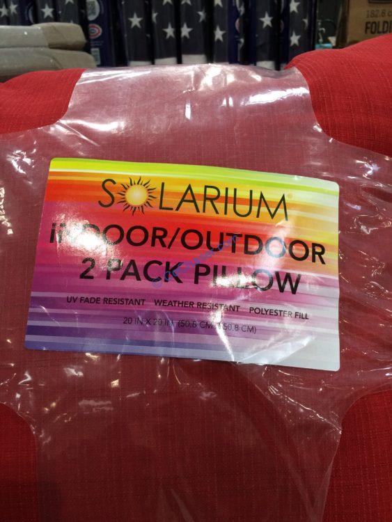 Solarium Indoor/Outdoor Pillow 20” x 20” CostcoChaser