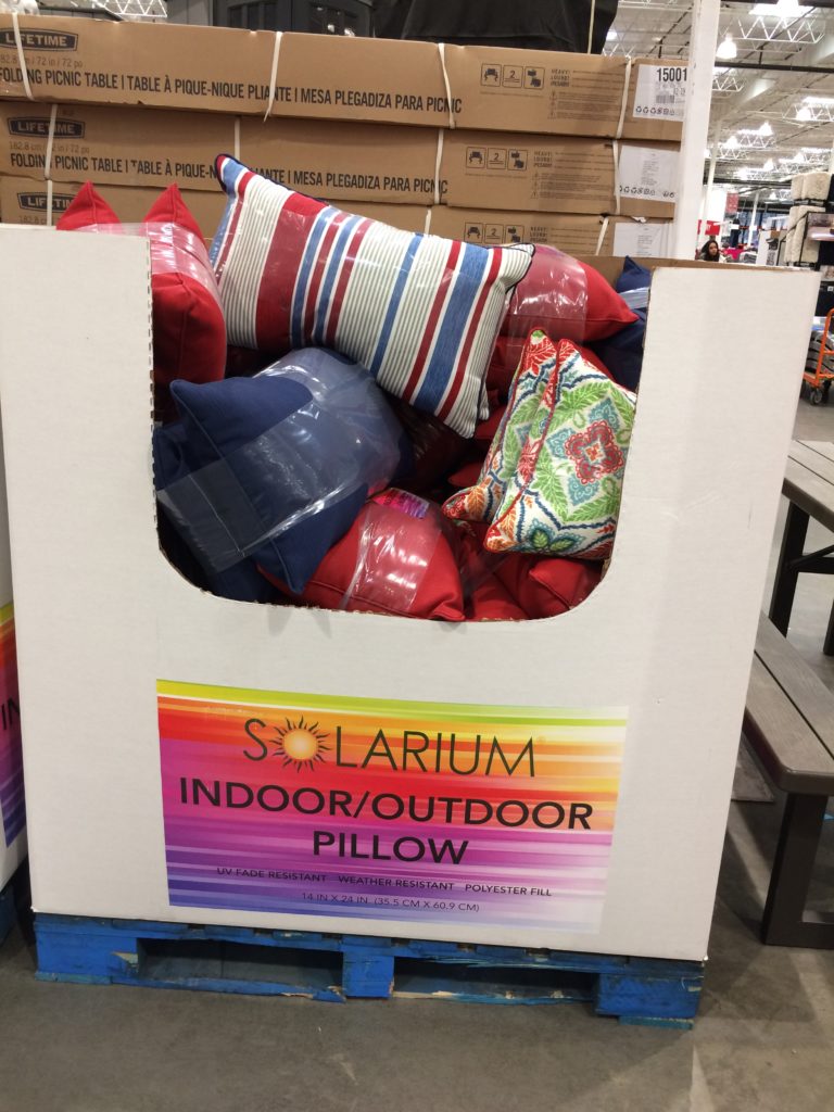 Solarium Indoor/Outdoor Pillow 14” x 24” CostcoChaser