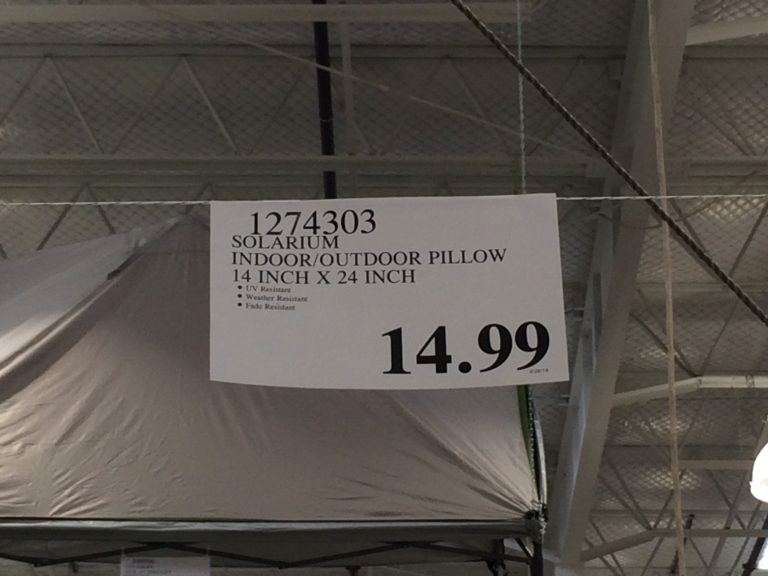 Solarium Indoor/Outdoor Pillow 14” x 24” CostcoChaser