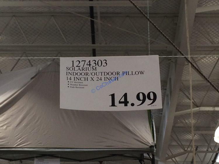 Solarium Indoor/Outdoor Pillow 14” x 24” CostcoChaser