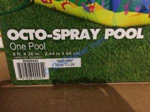 Costco-2000545-H2O-GO-OCTO-Spray-Pool-bar