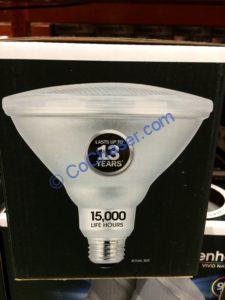 Coscoto-1200271-Feit-Electric-LED-PAR38-Spot-Bright-White2