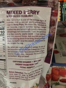Costco-1290385-Made-in-Nature-Berry-Pop-ing