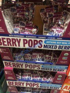 Costco-1290385-Made-in-Nature-Berry-Pops-all