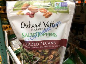 Costco-1183538-Orchard-Valley-Harvest-Salad-Toppers-name